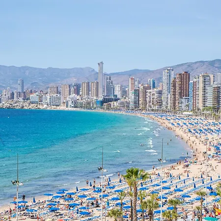 Loix Mar 11-e Levante *