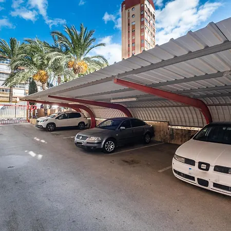 Loix Mar 11-e Levante * ベニドルム